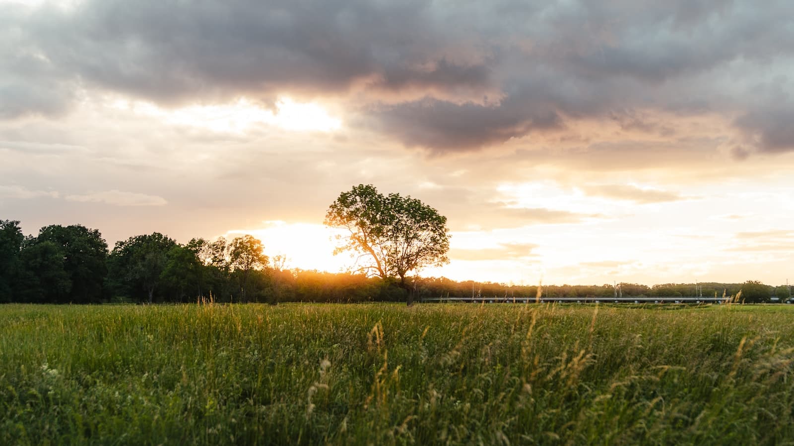 Ideas for Planning An Outdoor Funeral Ideas for Planning An Outdoor Funeral
